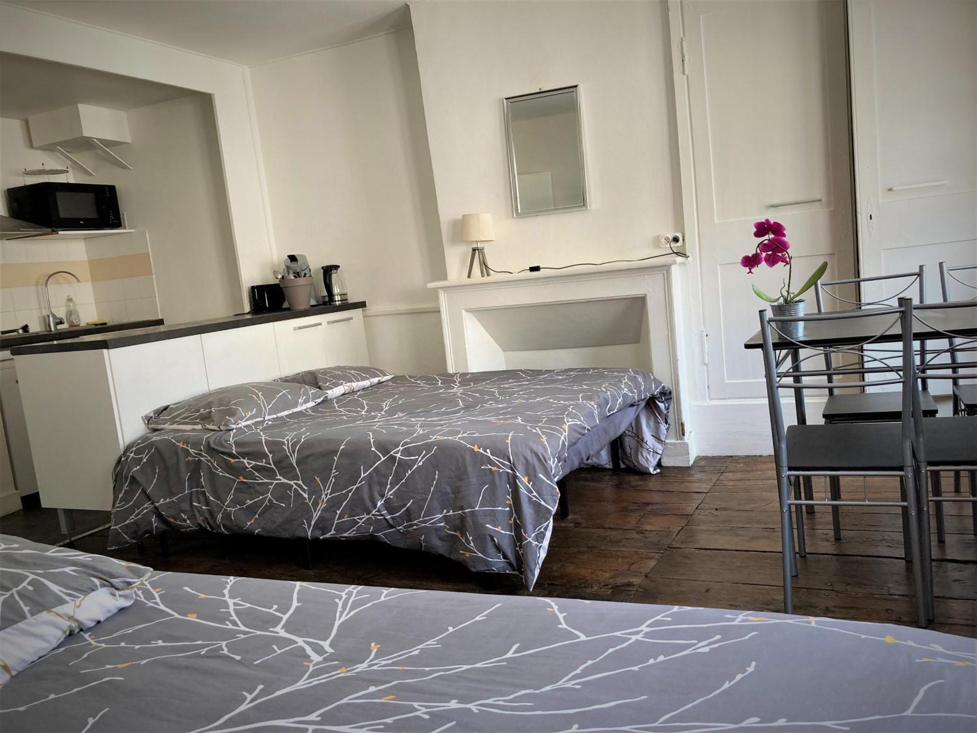 Studio Double 31 Centre De Limoges Wifi Экстерьер фото
