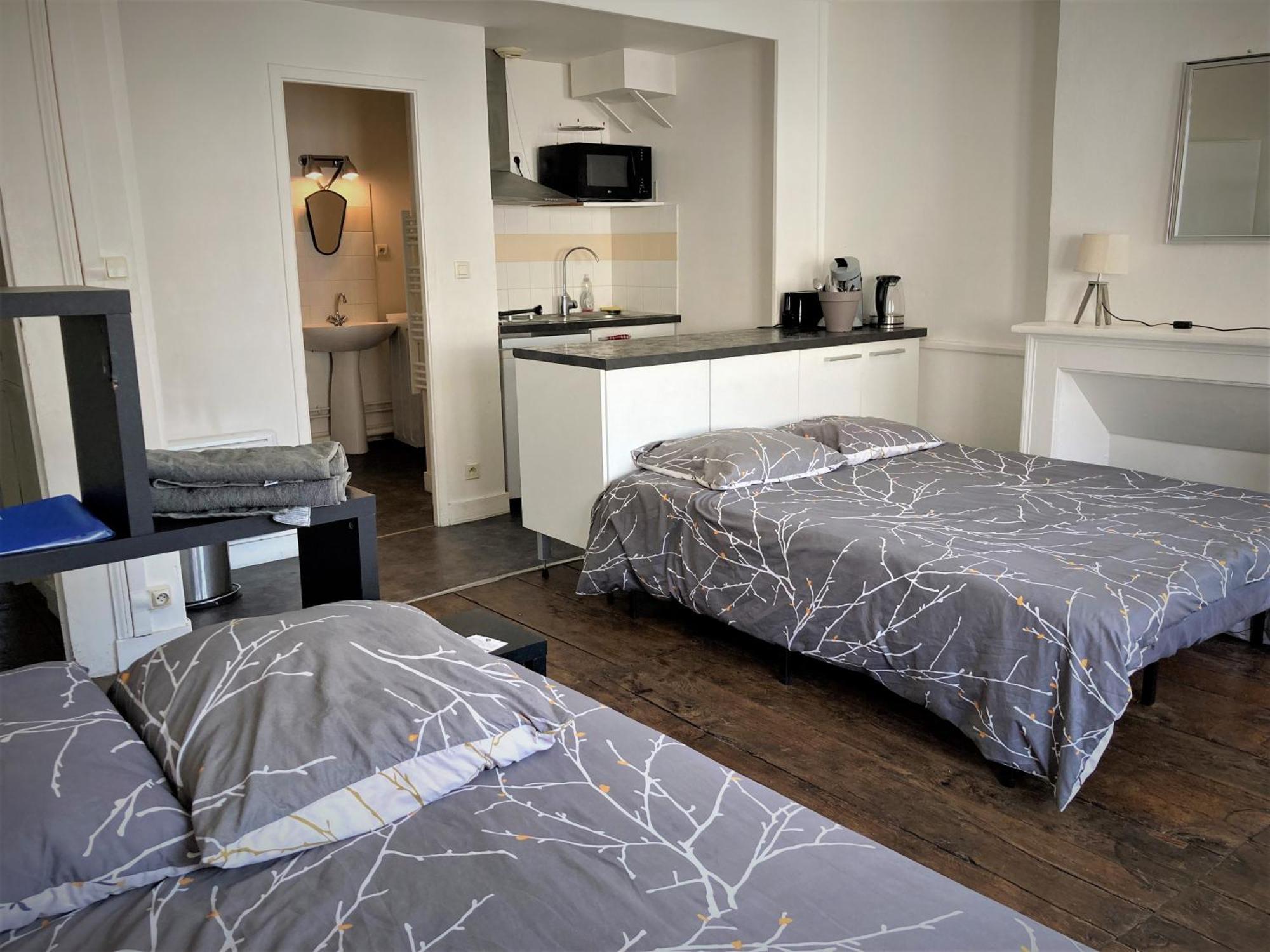 Studio Double 31 Centre De Limoges Wifi Экстерьер фото