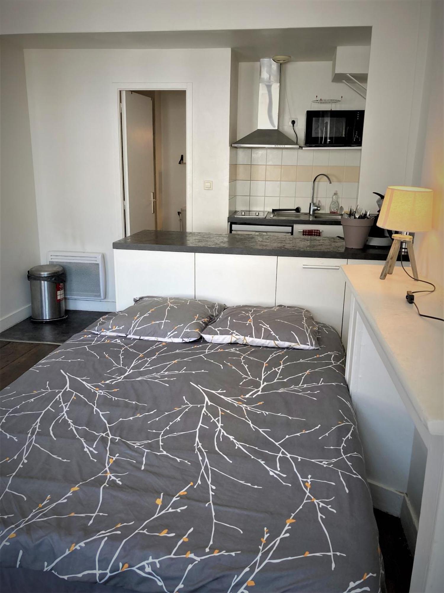 Studio Double 31 Centre De Limoges Wifi Экстерьер фото