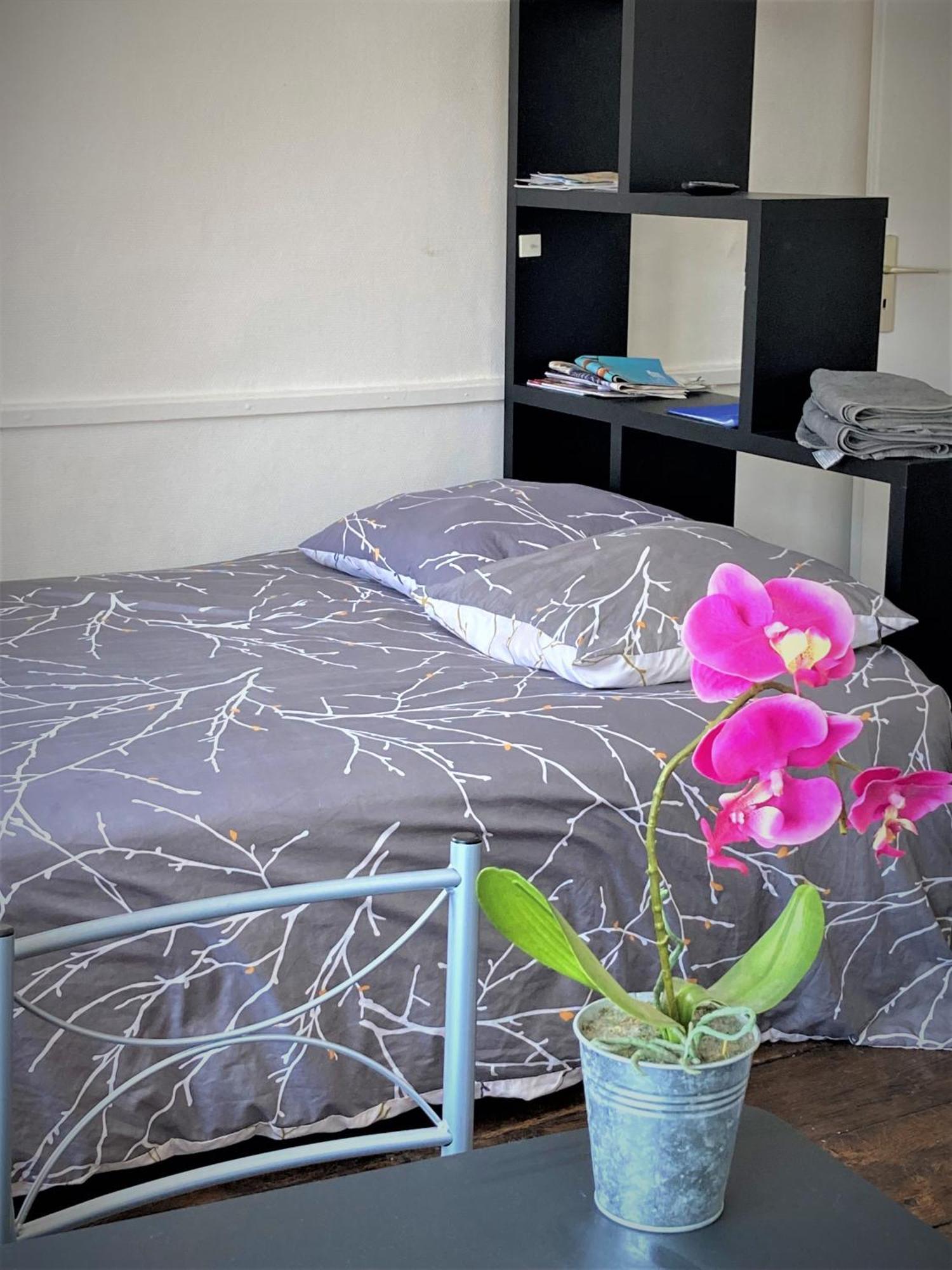 Studio Double 31 Centre De Limoges Wifi Экстерьер фото